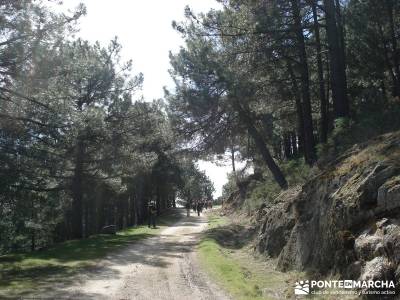 Cascadas de Gavilanes - Pedro Bernardo;amigos madrid salir por madrid fedme